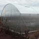 Теплиця Фермерська Glazing (під полікарбонат 6-16 мм, 15 років гарантії) ТF500003 фото 3